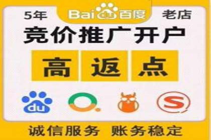 搜索开户返点政策下的成功案例分析